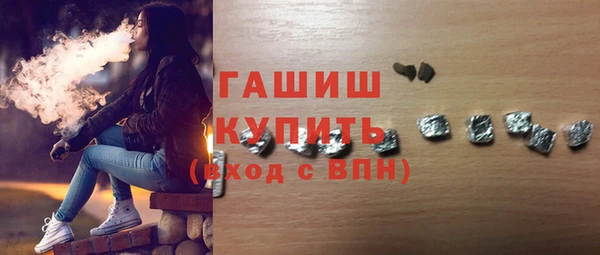 индика Осинники