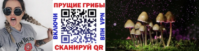Псилоцибиновые грибы мицелий  цена наркотик  Сертолово 