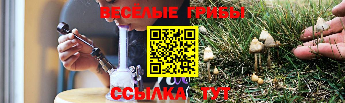 Псилоцибиновые грибы MAGIC MUSHROOMS Сертолово